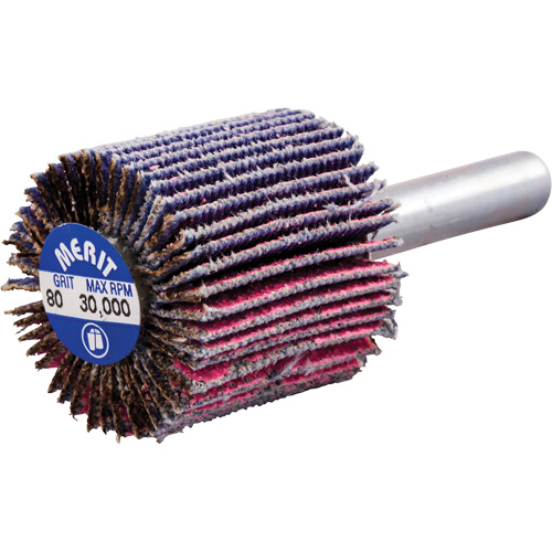 Mini-meule &agrave; lamelles mont&eacute;e sur tige, C&eacute;ramique d'alumine, Grain 80, 1" x 1" x 1/4" Meunier Outillage Industriel