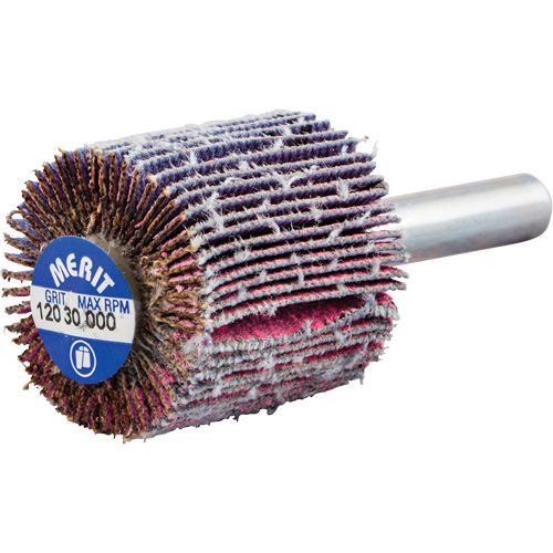 Mini-meule &agrave; lamelles mont&eacute;e sur tige, C&eacute;ramique d'alumine, Grain 120, 1" x 1" x 1/4" Meunier Outillage Industriel