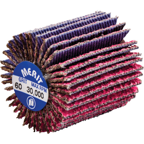 Mini-meule &agrave; lamelles filet&eacute;es, C&eacute;ramique d'alumine, Grain 60, 1" x 1" x 1/4"-20 Meunier Outillage Industriel