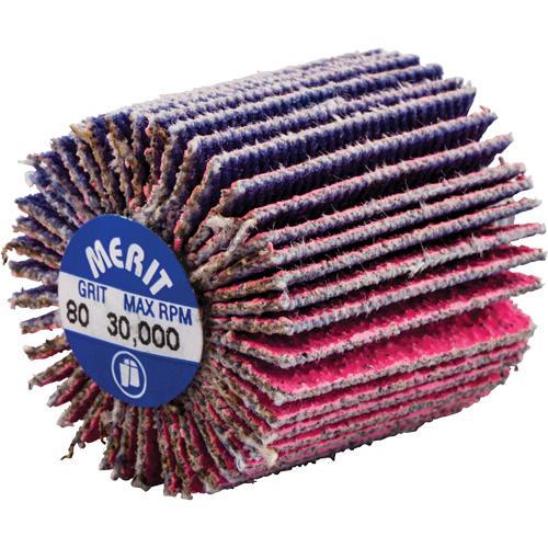 Mini-meule &agrave; lamelles filet&eacute;es, C&eacute;ramique d'alumine, Grain 80, 1" x 1" x 1/4"-20 Meunier Outillage Industriel