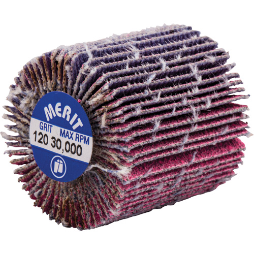 Mini-meule &agrave; lamelles filet&eacute;es, C&eacute;ramique d'alumine, Grain 120, 1" x 1" x 1/4"-20 Meunier Outillage Industriel