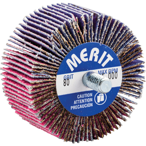Threaded Mini Flap Wheel, Ceramic Alumina, 80 Grit, 2" x 1" x 1/4"-20 Meunier Outillage Industriel