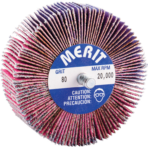 Mini-meule &agrave; lamelles filet&eacute;es, C&eacute;ramique d'alumine, Grain 80, 3" x 1" x 1/4"-20 Meunier Outillage Industriel