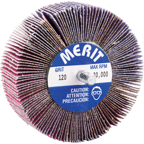 Mini-meule &agrave; lamelles filet&eacute;es, C&eacute;ramique d'alumine, Grain 120, 3" x 1" x 1/4"-20 Meunier Outillage Industriel