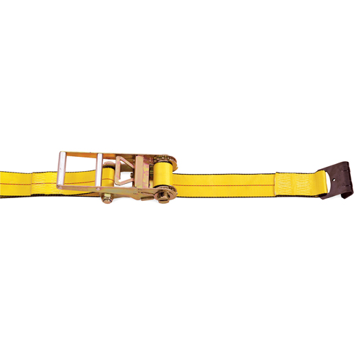 Tendeurs d'arrimage &agrave; cliquet, Crochet plat, 3" , 30' , Charge d'utilisation max. 5400 lb (2450 kg) Meunier Outillage Industriel
