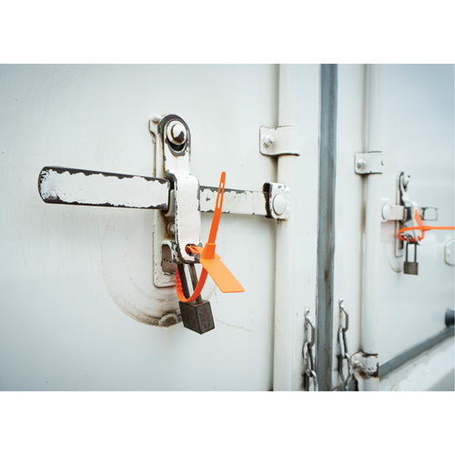 Security Seal, 7-3/4", Plastic, Truck Seal Meunier Outillage Industriel