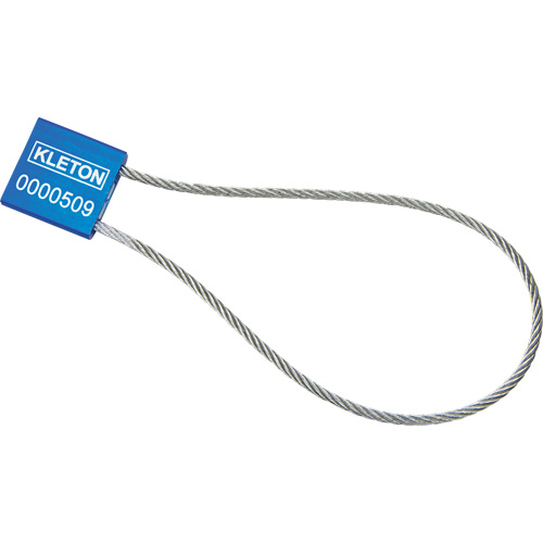 Scell&eacute;s de haute s&eacute;curit&eacute;, 12", M&eacute;tal, Scell&eacute; &agrave; c&acirc;ble Meunier Outillage Industriel