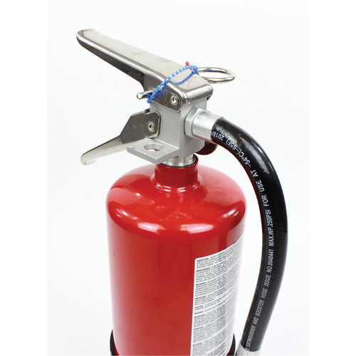 Extincteur d'incendie, ABC, Capacit&eacute; 10 lb Meunier Outillage Industriel