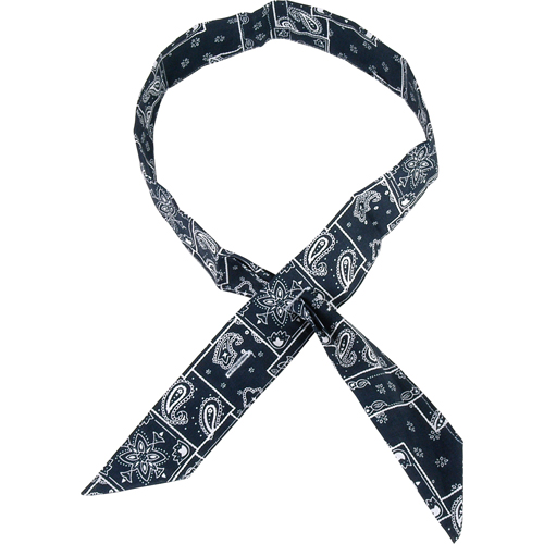 ALLEGRO INDUSTRIES Cool Offs Bandana, Blue Meunier Outillage Industriel
