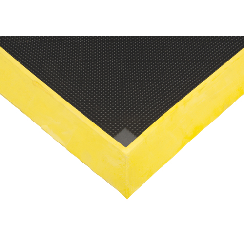 Foot Sanitizing Matting, Rubber, 2-2/3' W x 3-1/4' L x 2-1/2" Thick, Yellow Meunier Outillage Industriel
