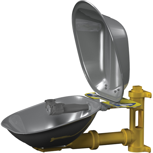 Halo Eyewash Stations, Wall-Mount Installation, Stainless Steel Bowl Meunier Outillage Industriel