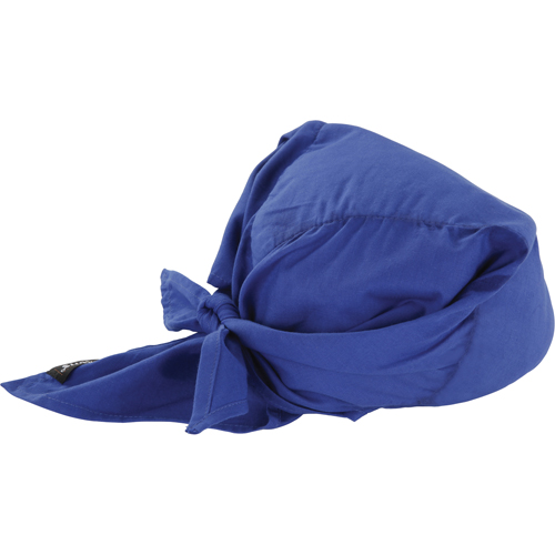 Chill-Its&reg; 6710CT Cooling Triangle Hats, Blue Meunier Outillage Industriel