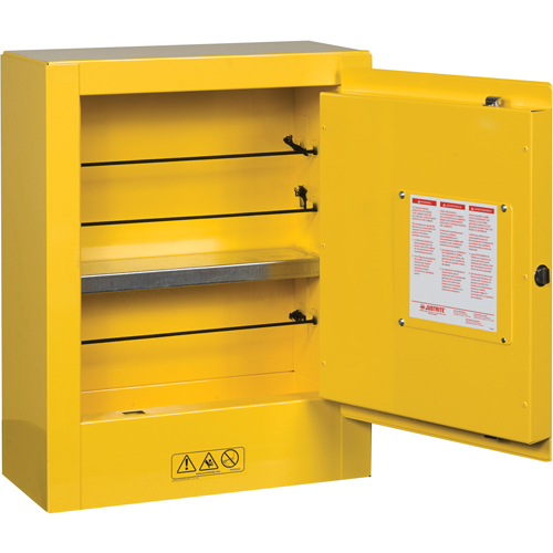 Sure-Grip&reg; EX Mini Flammable Safety Cabinet, 2 Gal., 1 Door, 17" W x 22" H x 8" D Meunier Outillage Industriel