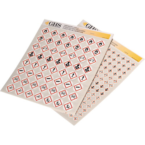GHS Hazard Pictogram Label Variety Packs, Vinyl, Sheet, 1" L x 1" W Meunier Outillage Industriel