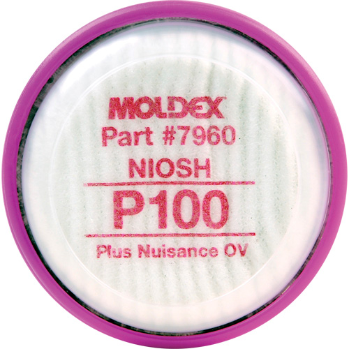 Particulate Filter Disk, Particulate Filter with Nuisance Vapour Relief, N95 Filter/Organic Vapour/Acid Gas/P100/P100 Filter/R95 Filter Meunier Outillage Industriel