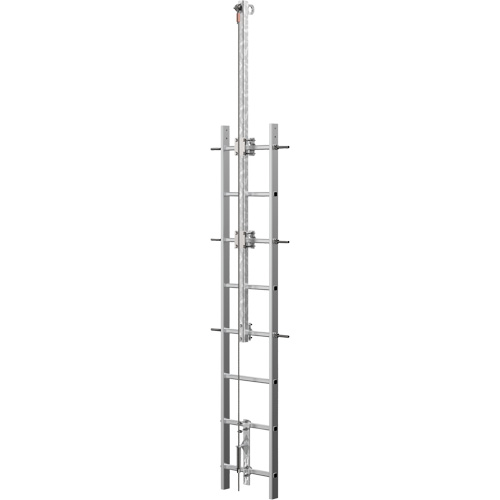 Syst&egrave;me de s&eacute;curit&eacute; continue Vi-Go pour monter aux &eacute;chelles avec traverse automatique, Acier inoxydable Meunier Outillage Industriel