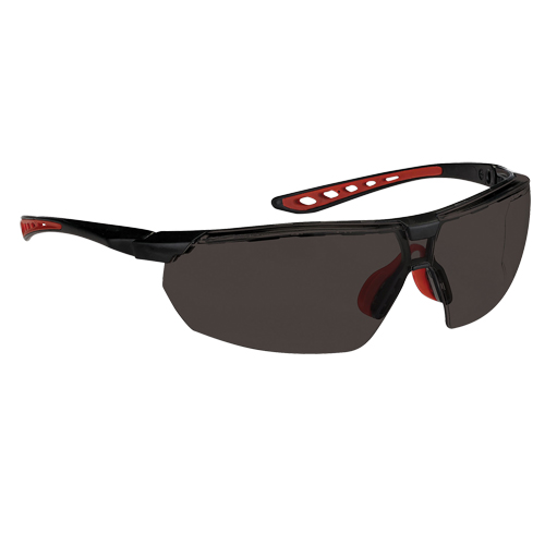 Dynamic Falcon Series Safety Glasses, Smoke Lens, Anti-Fog, ANSI Z87+/Meets/Exceeds CSA Z94.3 Meunier Outillage Industriel