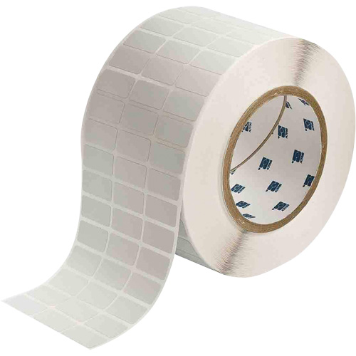 &eacute;tiquettes lustr&eacute;es pour plaques signal&eacute;tiques, Polyester m&eacute;talis&eacute;, 1" lo x 0,5" h, Argent Meunier Outillage Industriel
