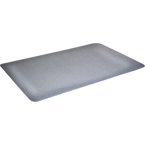 Tapis antimicrobiens WD Foodmaster, Lisse, 3' x 4' x 9/16", Gris, Nitrile/Caoutchouc Meunier Outillage Industriel