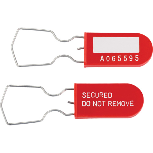 Dynamic Safety Equipment Inspection Tags, Plastic, 1" W x 2-1/4" H, English Meunier Outillage Industriel