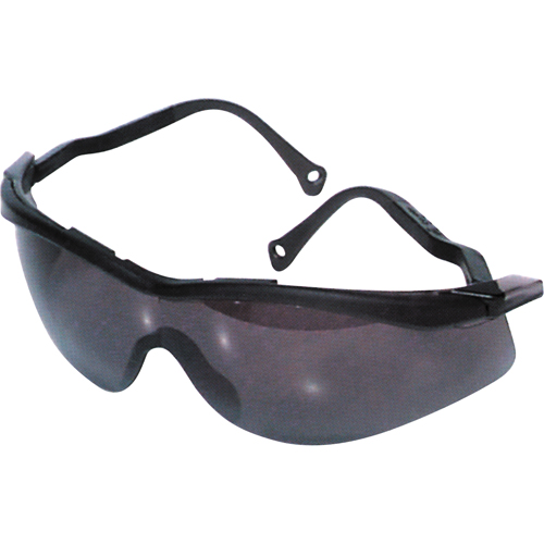 Lunettes de s&eacute;curit&eacute; North The Edge, Lentille Fum&eacute;e, Antibu&eacute;e/Anti-&eacute;gratignures, R&eacute;pond ou surpasse la norme CSA Z94.3 Meunier Outillage Industriel