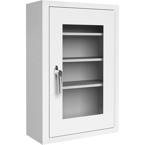 Lockable Medicine Cabinet with Plexiglas Door Meunier Outillage Industriel