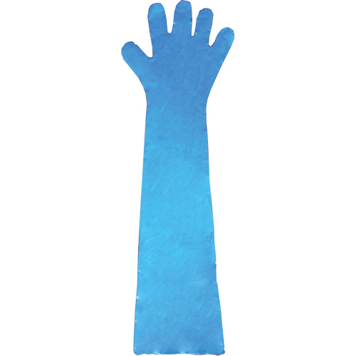 Gants jetables en latex, Gants jetables, Gants jetables en vinyle, Poly&eacute;thyl&egrave;ne, Sans poudre, Bleu Meunier Outillage Industriel