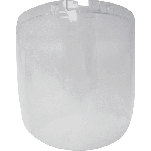 &eacute;cran antibrouillard de remplacement de la s&eacute;rie DP4, Polycarbonate, Teinte Transparent Meunier Outillage Industriel