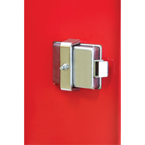 Armoires ext&eacute;rieures robustes pour extincteurs, 14" la x 28" h x 10" p Meunier Outillage Industriel