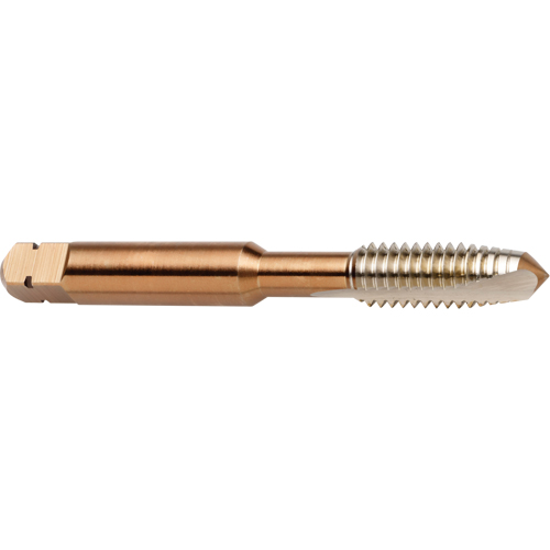 Taraud &agrave; entr&eacute;e h&eacute;licoidale, Acier rapide au cobalt, Filet de 3/8"-16, 2-15/16" l Meunier Outillage Industriel