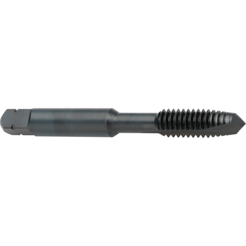Taraud &agrave; entr&eacute;e h&eacute;licoidale, Acier rapide au cobalt, Filet de 8-32, 2-1/8" l Meunier Outillage Industriel