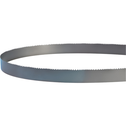 Welded Bandsaw Blade, Bi-Metal, 14' L x 1" W x 4 - 6 TPI Meunier Outillage Industriel