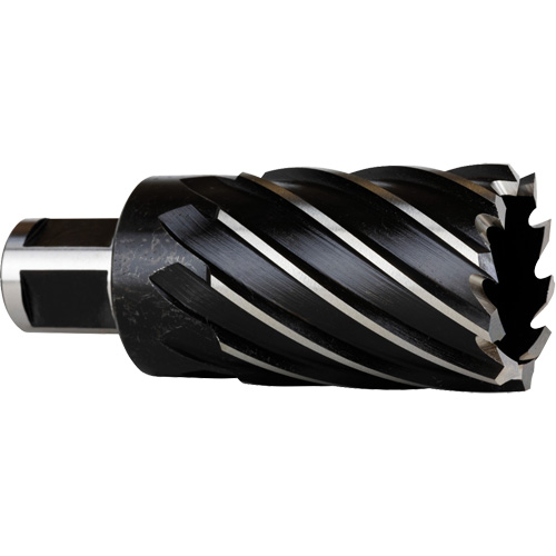 Couteau annulaire, Diam&egrave;tre de 1-3/4", Acier rapide, Profondeur de la coupe de 2", Tige 3/4" Meunier Outillage Industriel