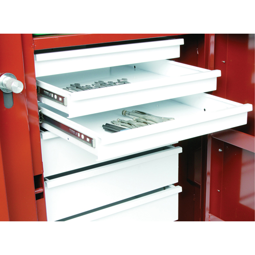 Rolling Work Bench, 49-7/8" W x 40-5/8" H x 26-7/8" D, 24.6 Cubic Feet Capacity Meunier Outillage Industriel