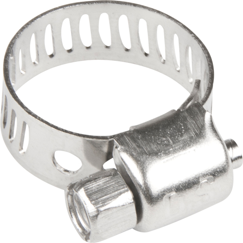 Hose Clamps - Stainless Steel Band & Screw, Min Dia. 1/5", Max Dia. 5/8" Meunier Outillage Industriel