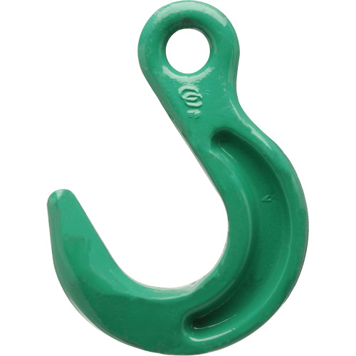 Cam-Alloy&reg; Eye Foundry Hook Meunier Outillage Industriel