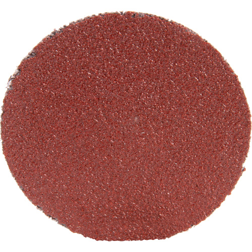 Roloc Disc 361F, 1-1/2" Dia., P100 Grit, Aluminum Oxide Meunier Outillage Industriel