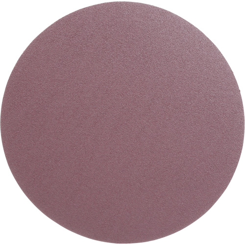 PSA Cloth Disc 348D, 12" Dia., 60 Grit, Aluminum Oxide, X-Weight Meunier Outillage Industriel