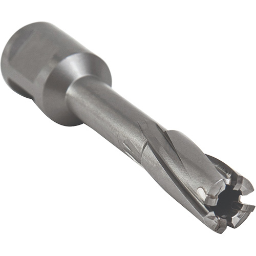 Core Cut Annular Cutter with Weldon Shank, 12 mm Diameter, Carbide, 55 mm Depth of Cut, 3/4" Shank Meunier Outillage Industriel