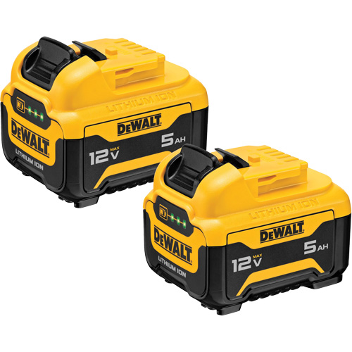 Bloc-piles Max*, Lithium-ion, 12 V, 5 Ah Meunier Outillage Industriel