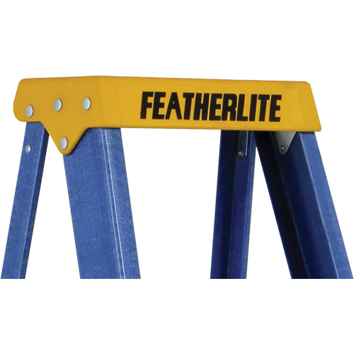 Escabeaux industriels (s&eacute;rie 6300), 4', Fibre de verre, Capacit&eacute; 250 lb, Type 1 Meunier Outillage Industriel