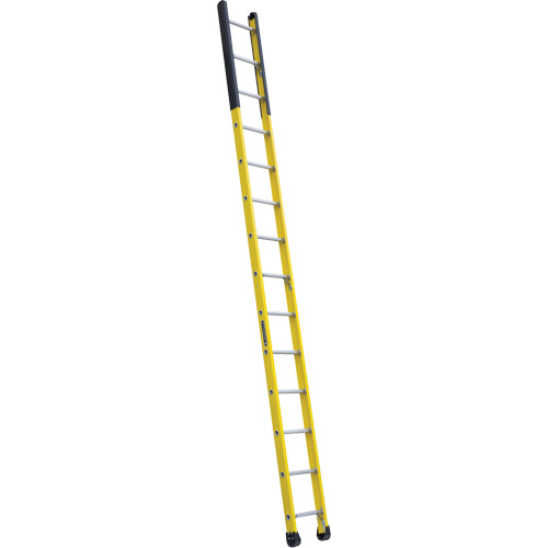 &eacute;chelle &eacute;troite pour trou d'homme, 14', Fibre de verre, 375 lb, CSA calibre 1AA Meunier Outillage Industriel