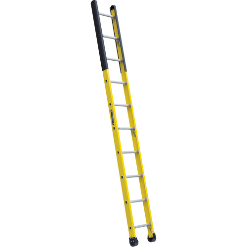 &eacute;chelle &eacute;troite pour trou d'homme, 10', Fibre de verre, 375 lb, CSA calibre 1AA Meunier Outillage Industriel