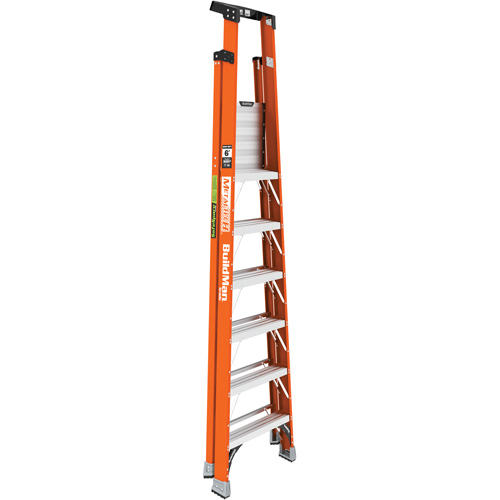 Safespace Platform Step Ladder, 6', 300 lbs. Cap. Meunier Outillage Industriel