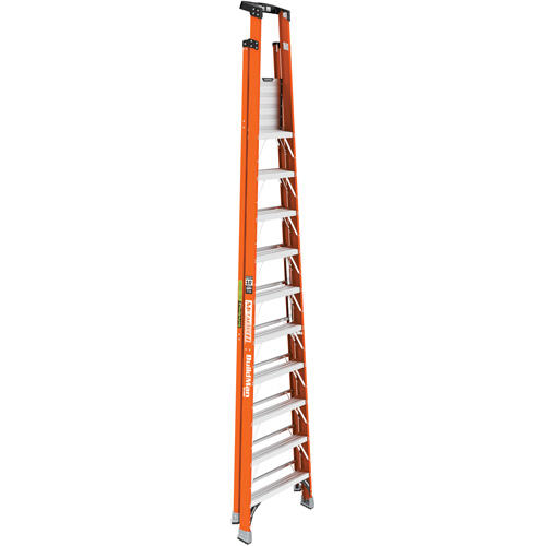 Safespace Platform Step Ladder, 10', 300 lbs. Cap. Meunier Outillage Industriel