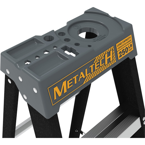 Step Ladder with Paint Tray, 8', Fibreglass, 250 lbs. Capacity, Type 1 Meunier Outillage Industriel