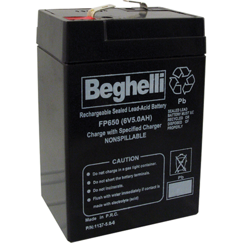 Sealed Lead Acid Batteries, 6 V, 5 Ah Meunier Outillage Industriel
