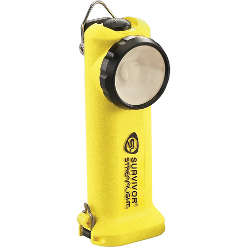 Lampe de poche Survivor, DEL, 175 lumens, Piles Rechargeable Meunier Outillage Industriel