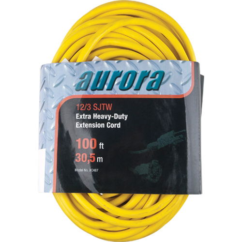 Vinyl Extension Cord, Outdoor, SJTW, 12/3 AWG, 15 A, 100' Meunier Outillage Industriel