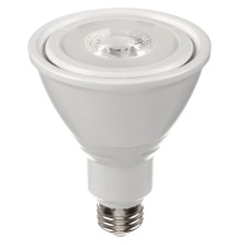 Ampoule DEL, PAR30, 10 W, 800 lumens, base Moyen Meunier Outillage Industriel